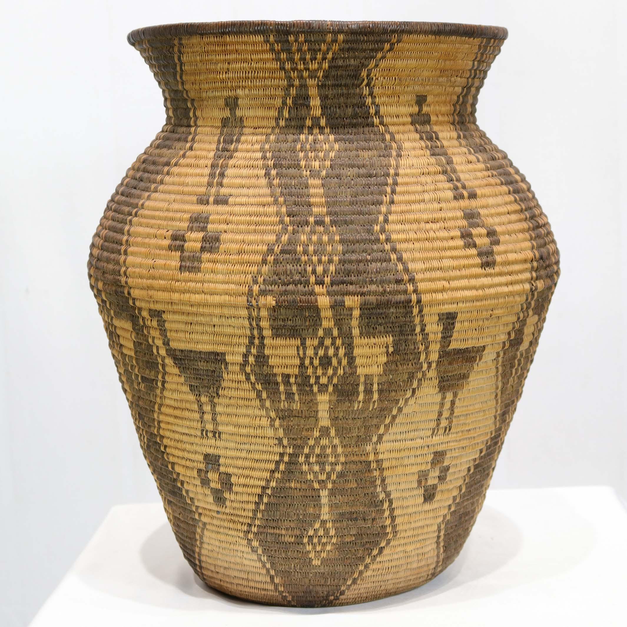 1910 Yavapai Ostrich Olla - Image 4