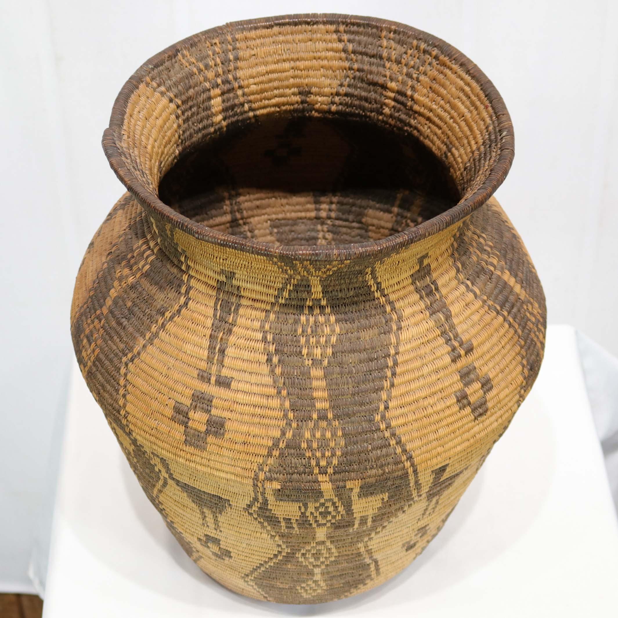 1910 Yavapai Ostrich Olla - Image 5