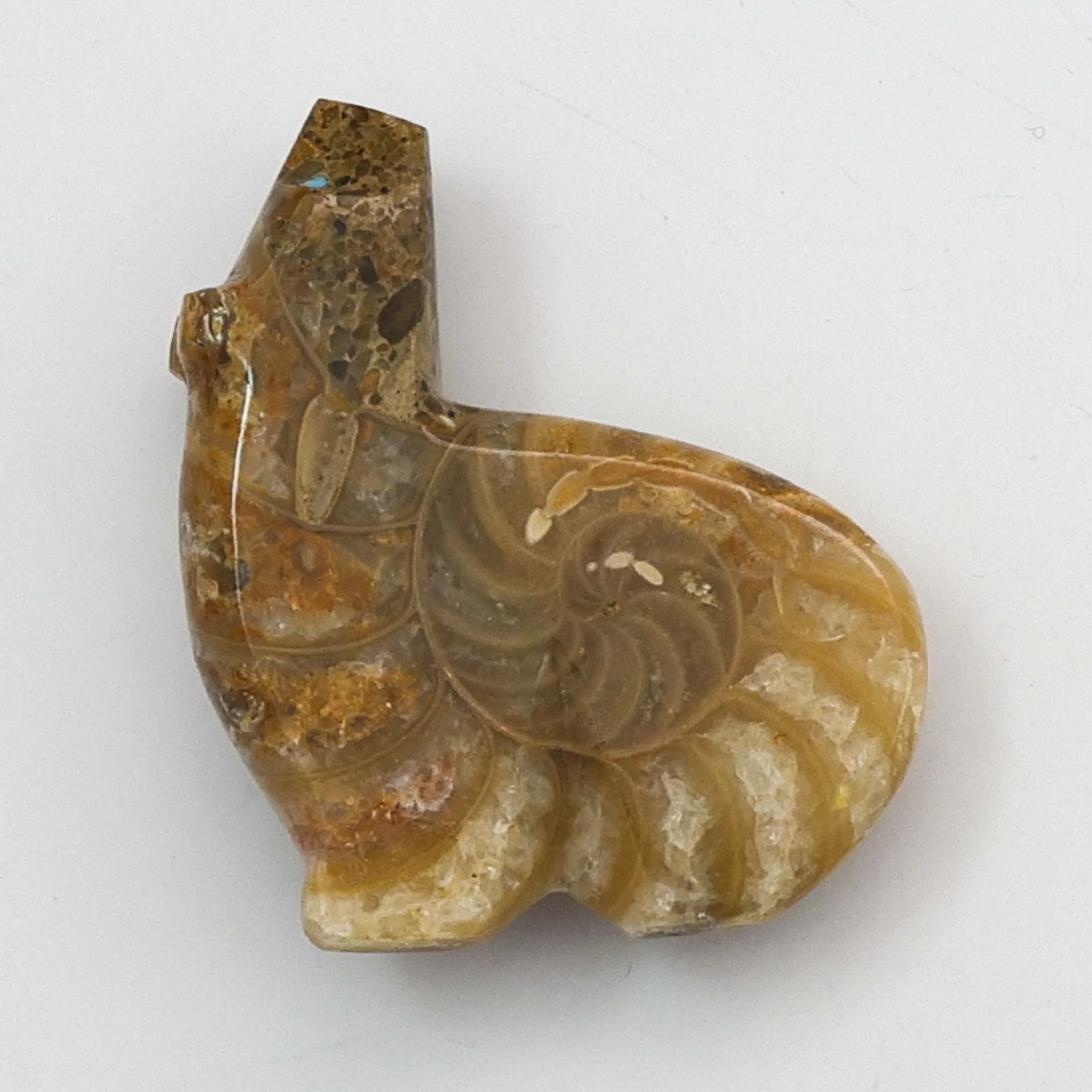 Ammonite Fossil Bear Fetish - Image 2