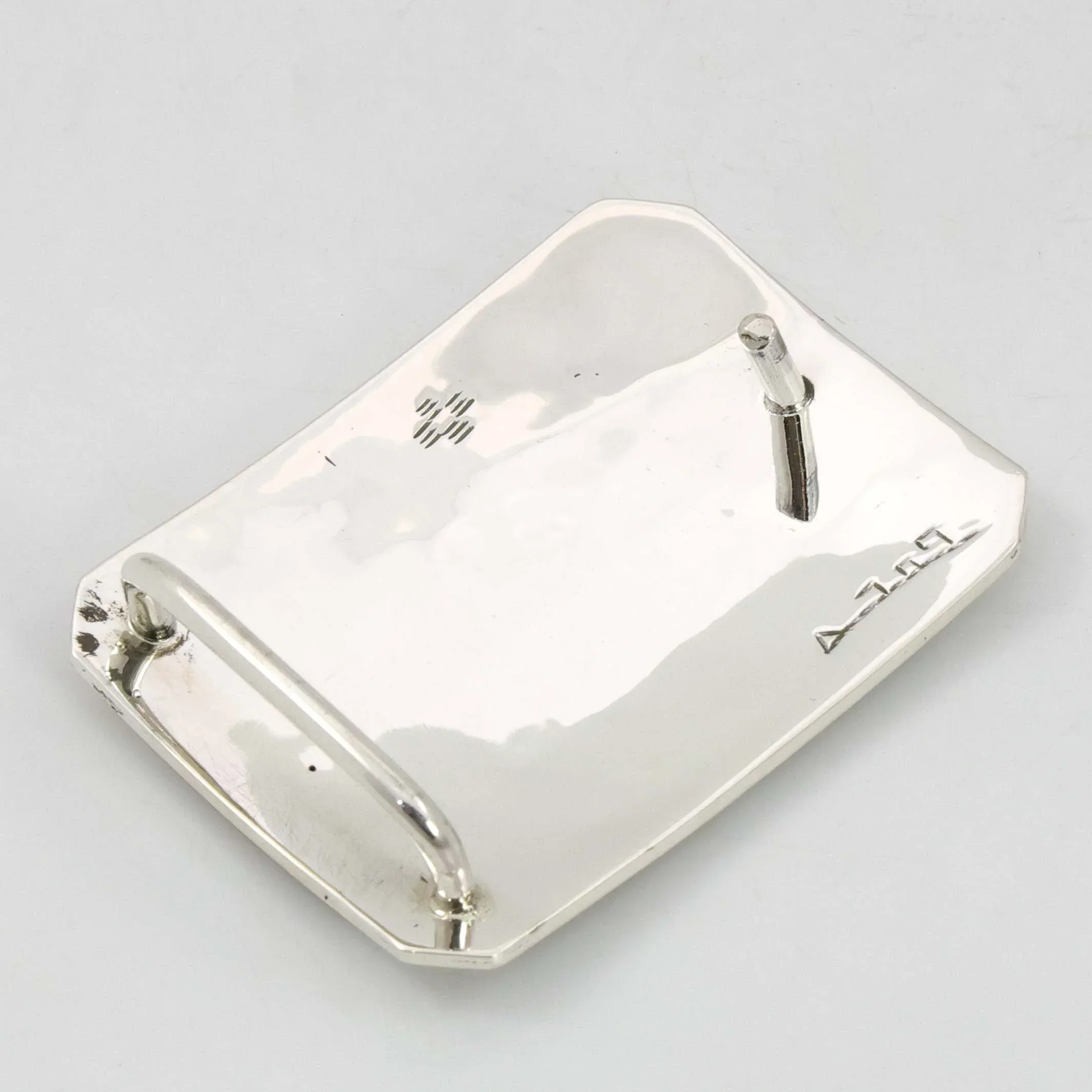 Desert Scene Buckle - Image 3