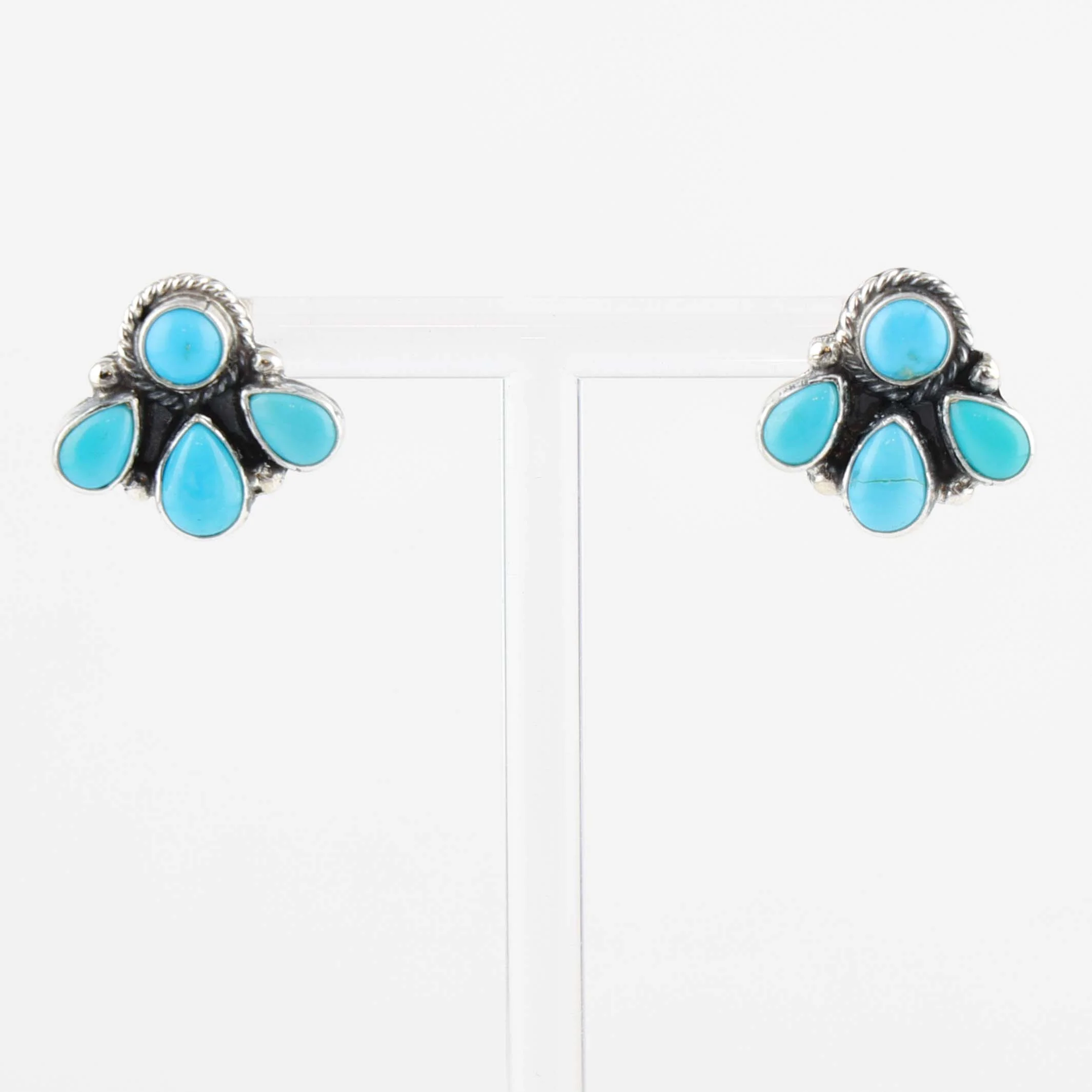 Sleeping Beauty Turquoise Earrings