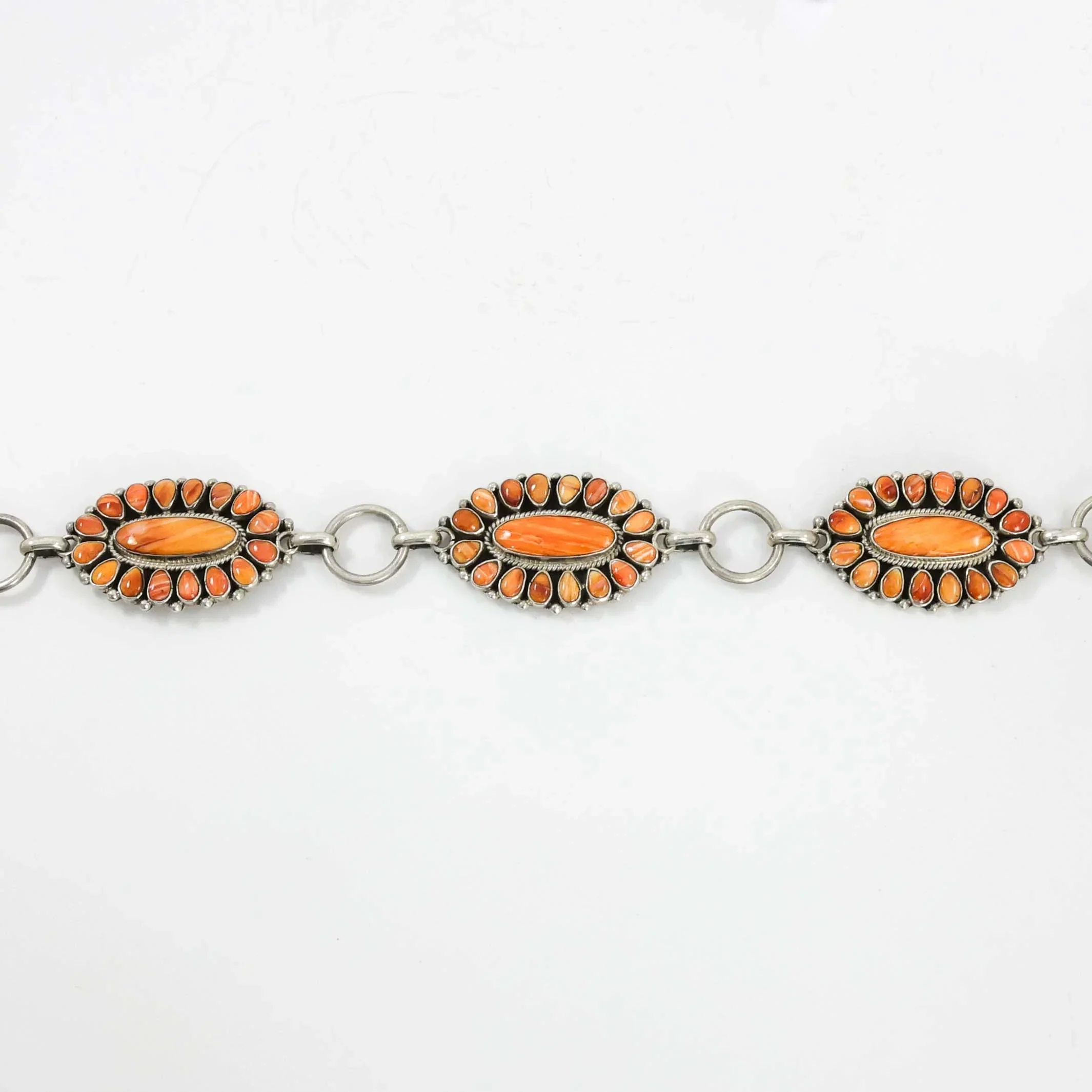 Spiny Oyster Shell Concho Belt - Image 3