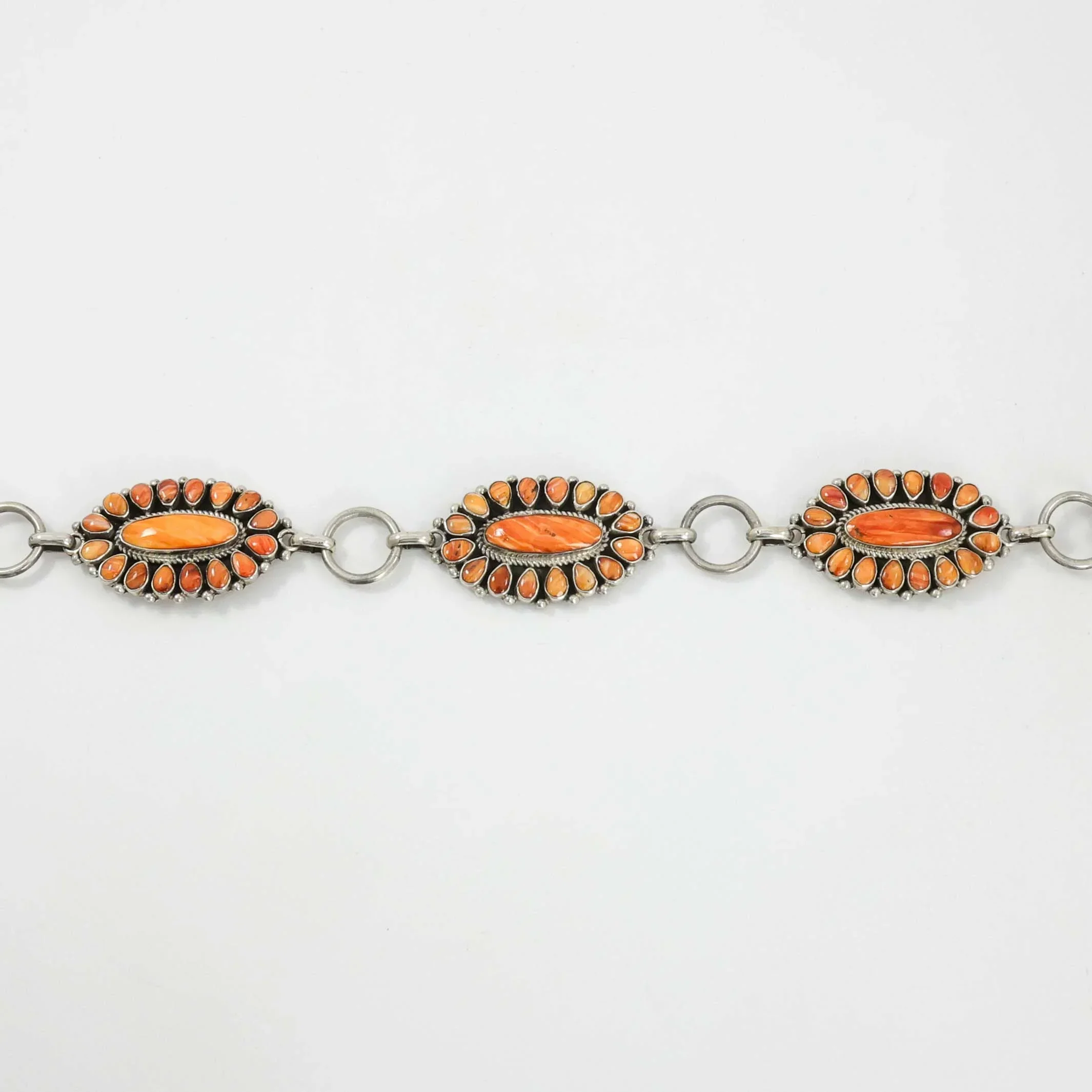Spiny Oyster Shell Concho Belt - Image 4