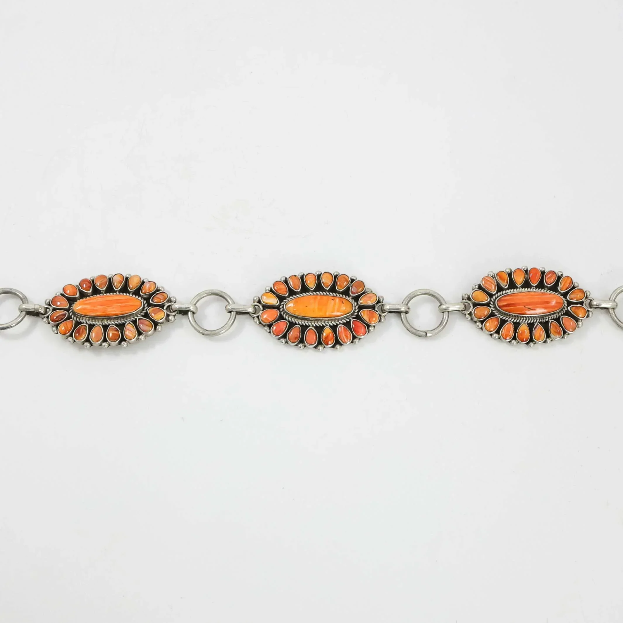 Spiny Oyster Shell Concho Belt - Image 5