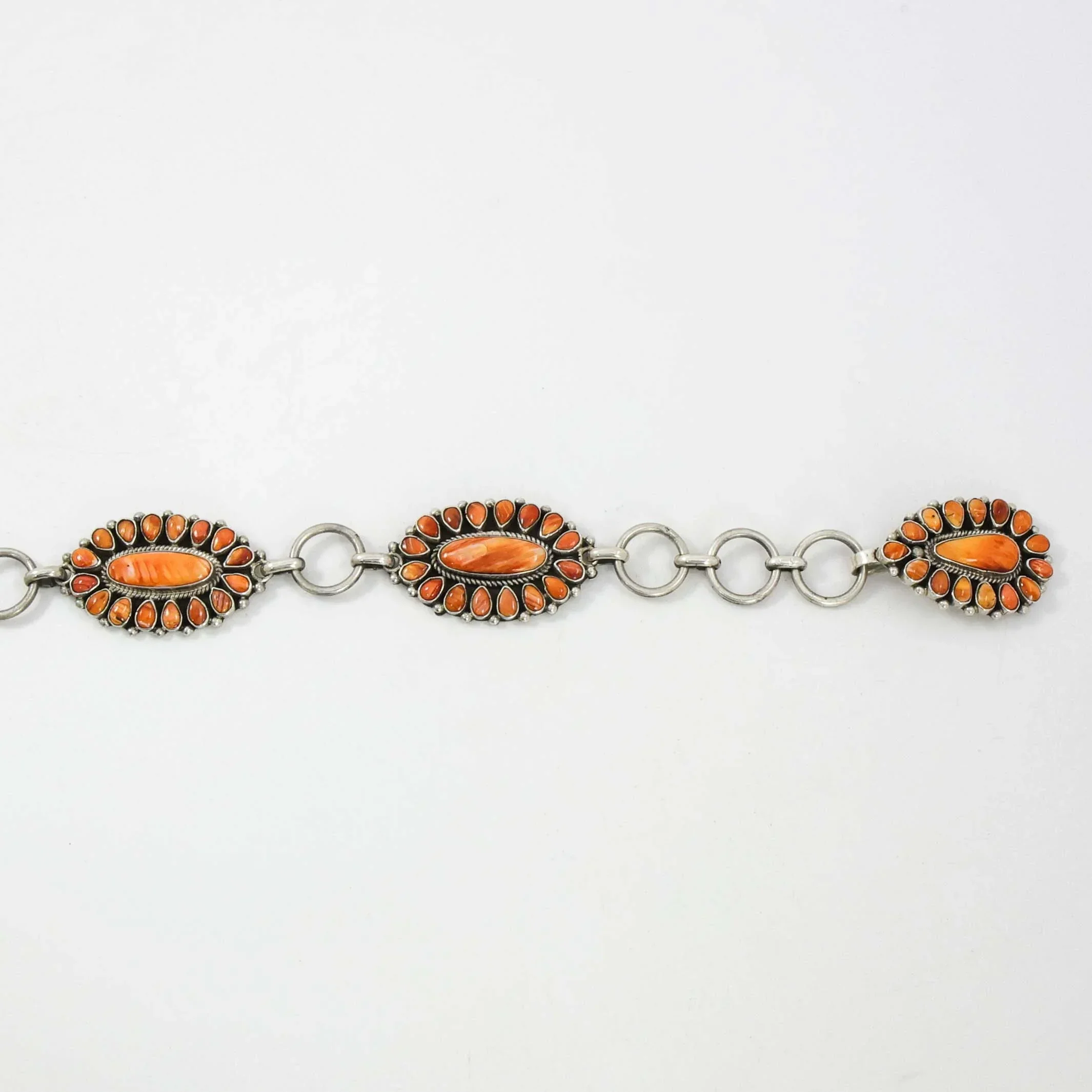 Spiny Oyster Shell Concho Belt - Image 6