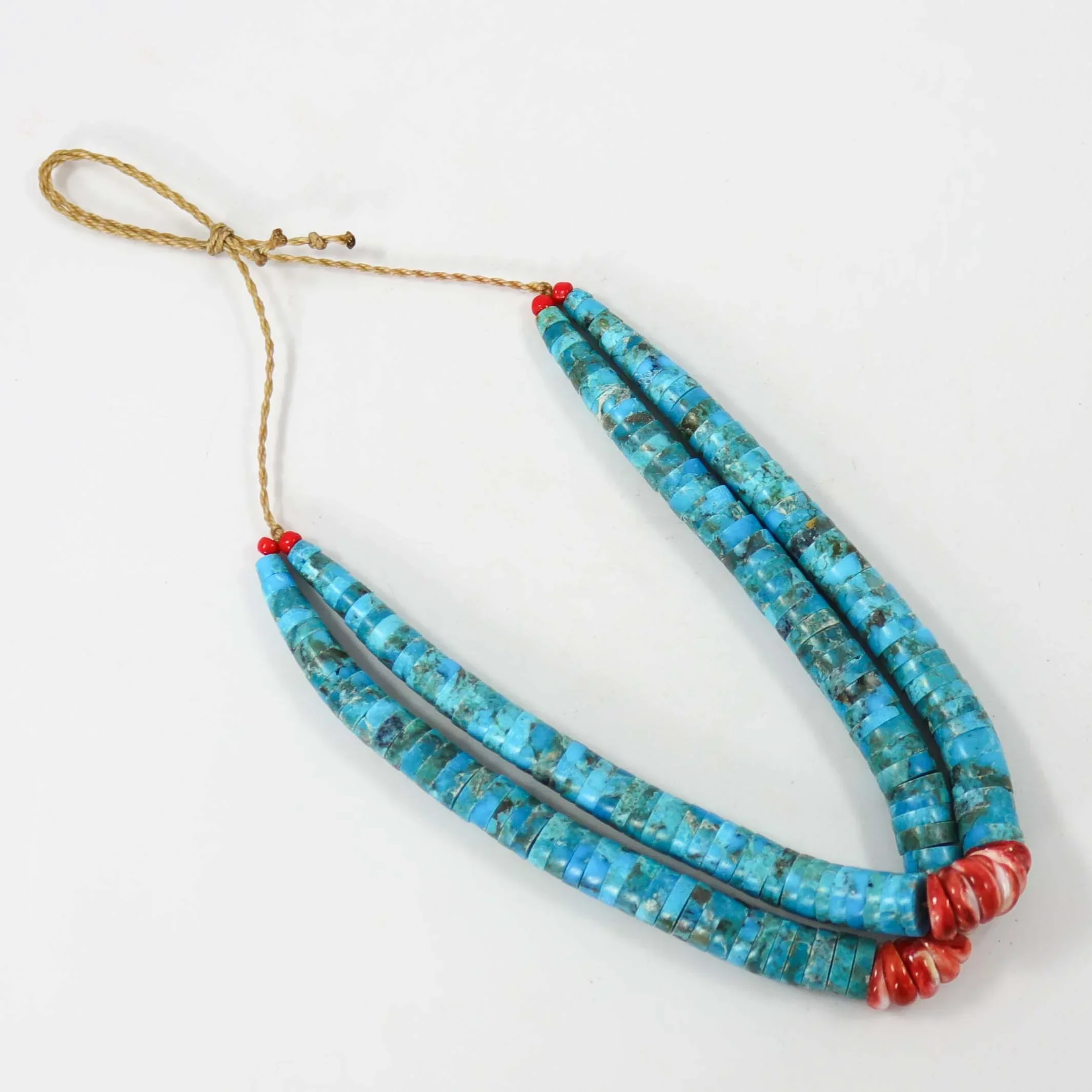 Turquoise and Spiny Jacla - Image 2
