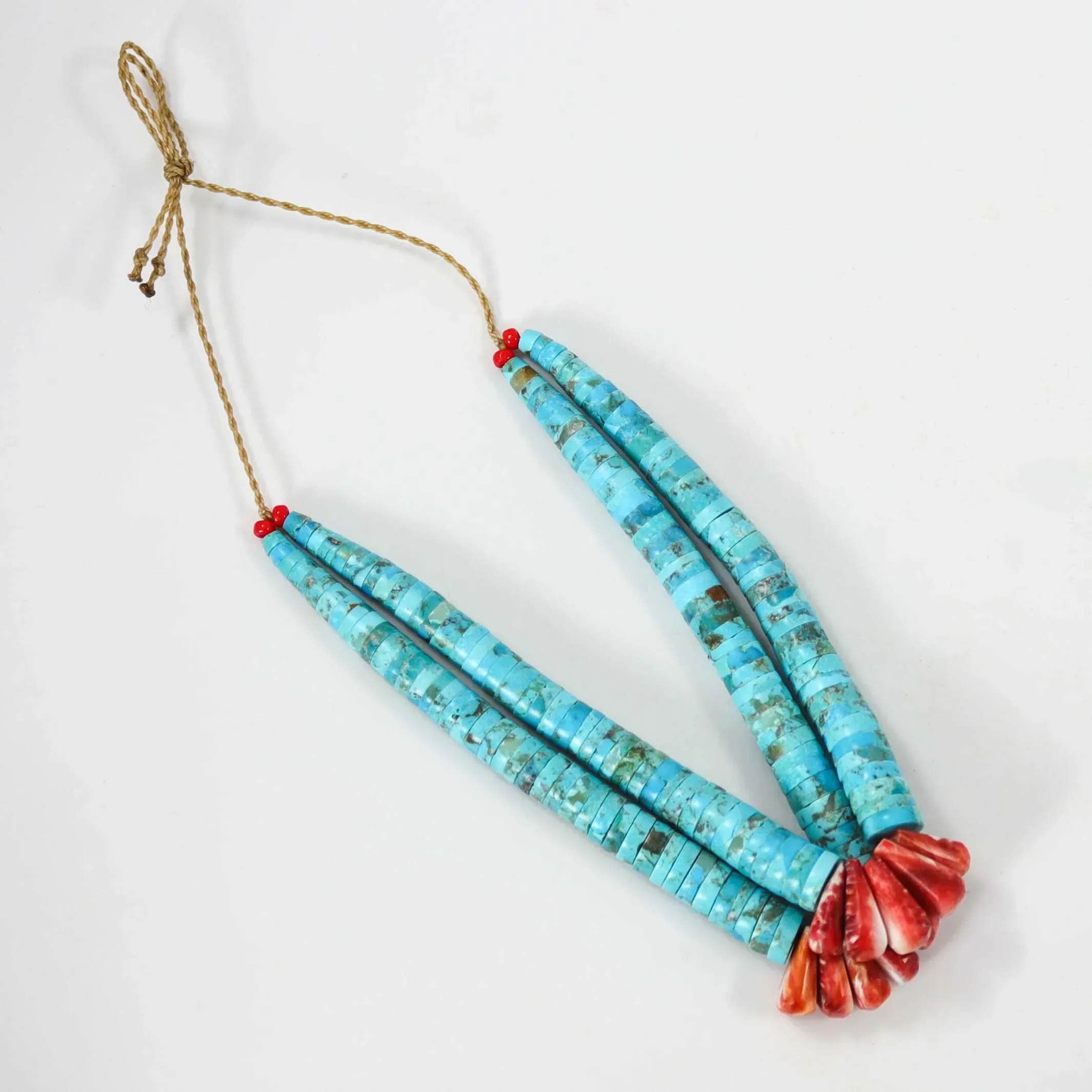 Turquoise and Spiny Jacla - Image 3